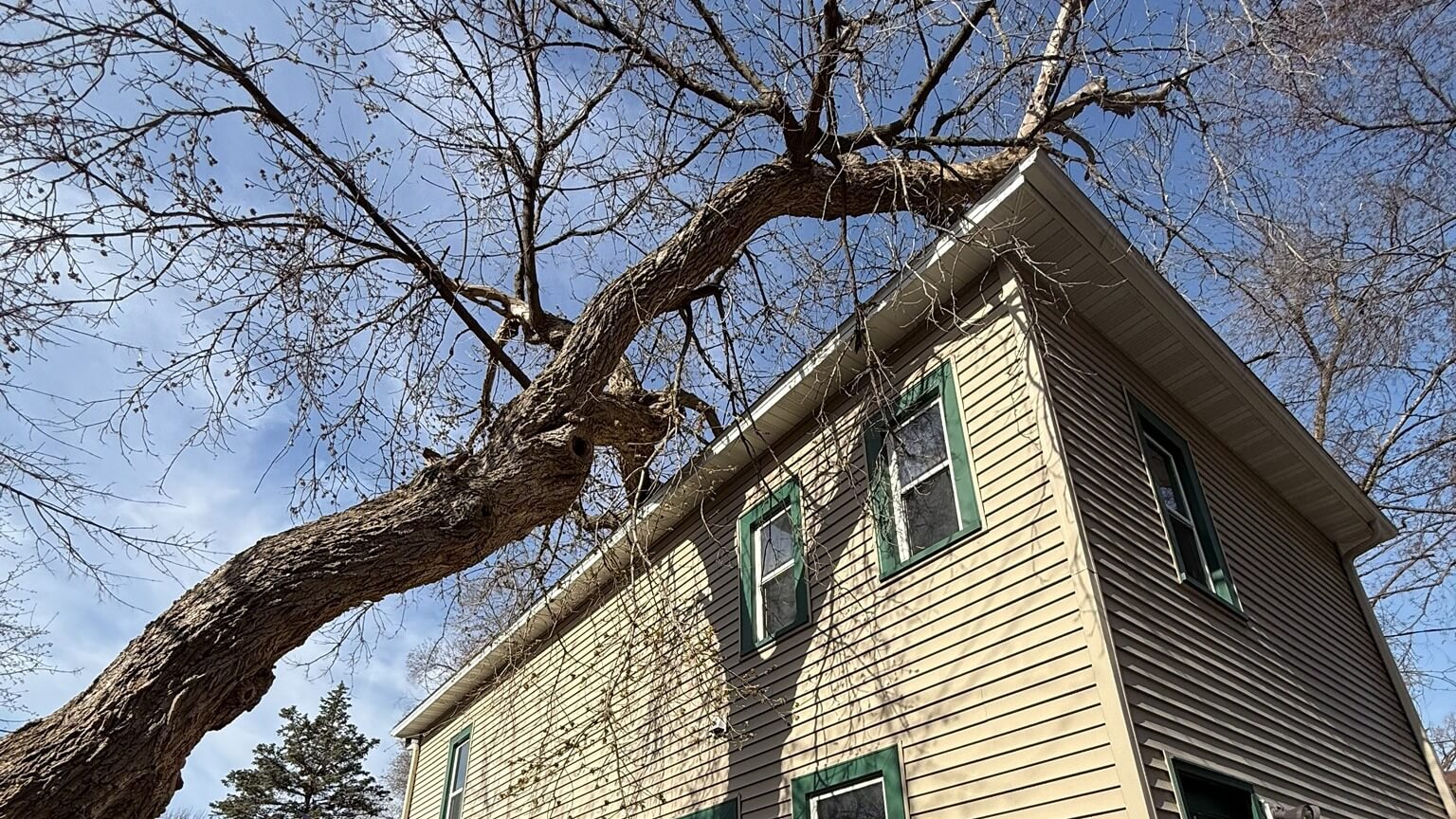 Lightning struck tree onto Anoka, MN home
